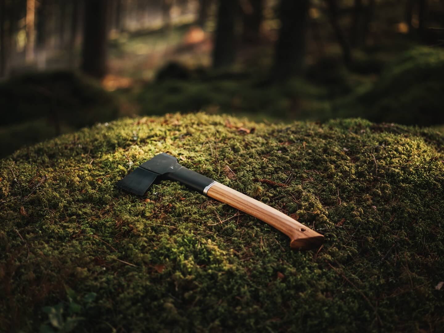Fiskars Norden Axt liegt im Moos tief im Wald